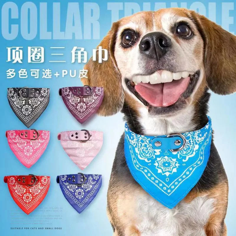 Bandana para pets