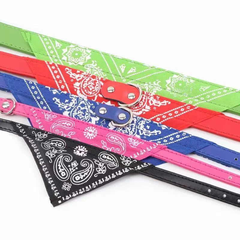 Bandana para pets