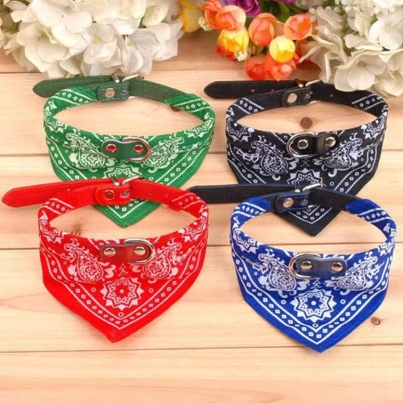 Bandana para pets